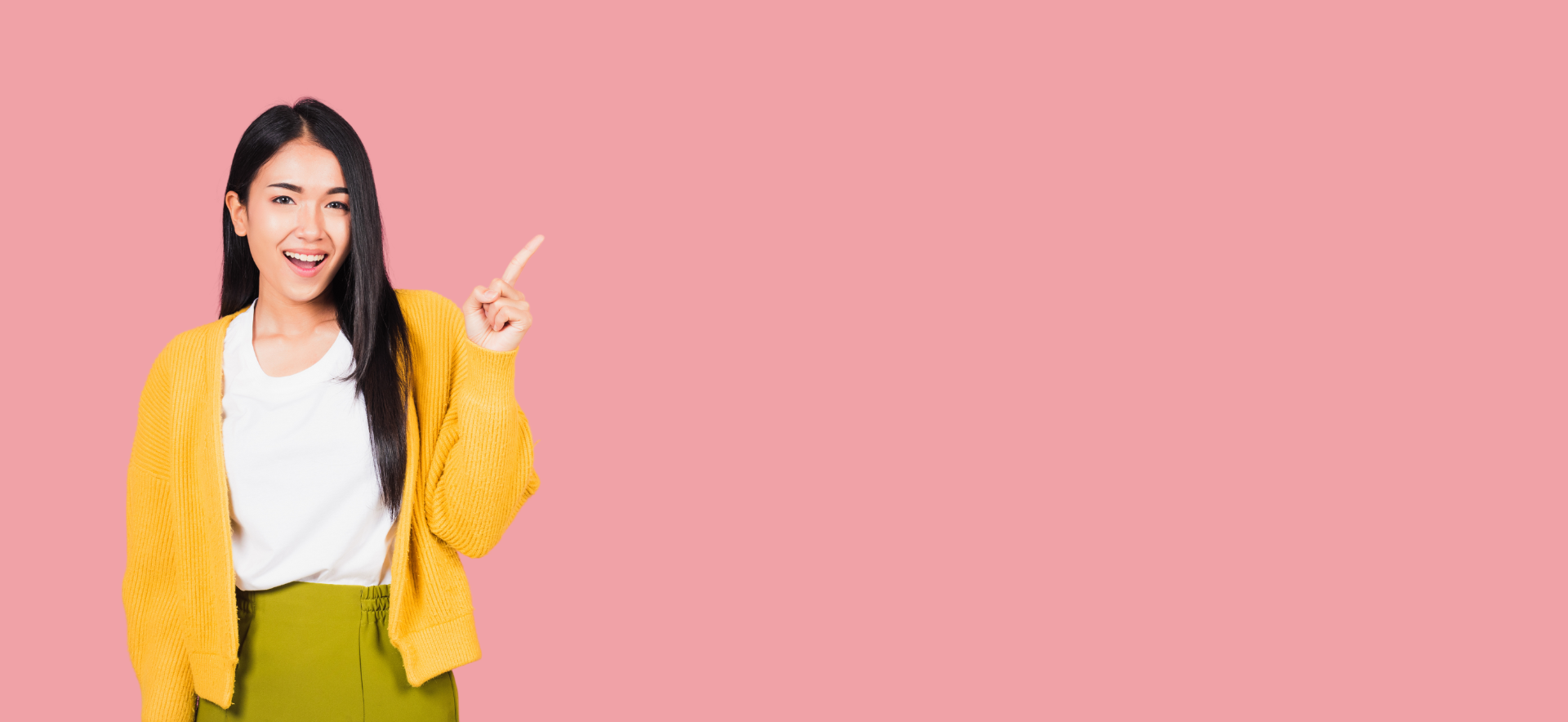 nipmee header 2